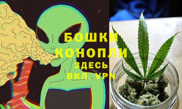 мяу мяу мука Верея
