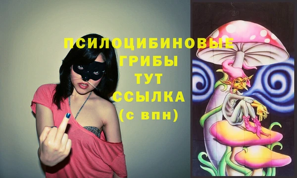 мяу мяу мука Верея