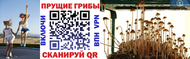 Купить закладки  Белогорск  Псилоцибиновые грибы MAGIC MUSHROOMS 